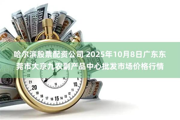 哈尔滨股票配资公司 2025年10月8日广东东莞市大京九农副产品中心批发市场价格行情