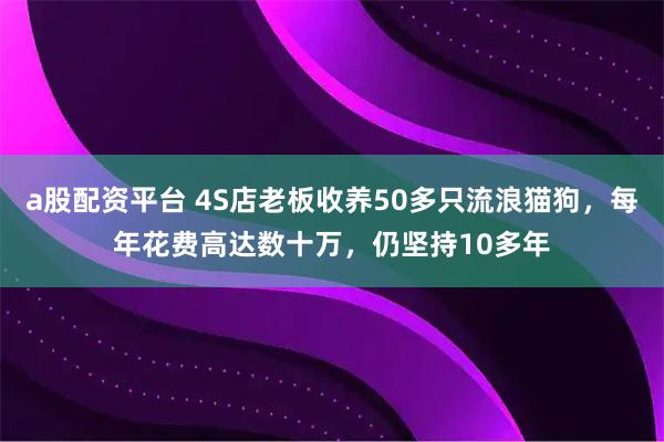 a股配资平台 4S店老板收养50多只流浪猫狗，每年花费高达数十万，仍坚持10多年